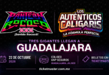 La fórmula perfecta llega a GDL