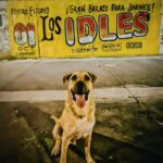 18059919331671092_resonante_radio