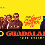 516109417_895276532802246_7442416800261301459_n